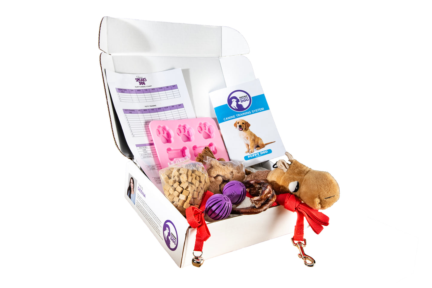 Puppy Training System